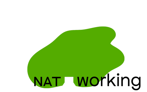 Piattaforma NATworking